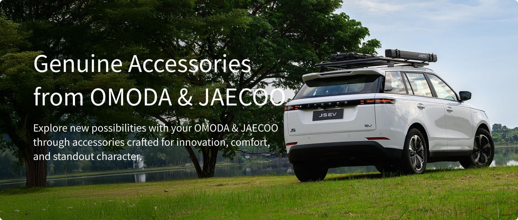 Lifestyle Collection