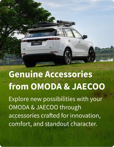 Lifestyle Collection